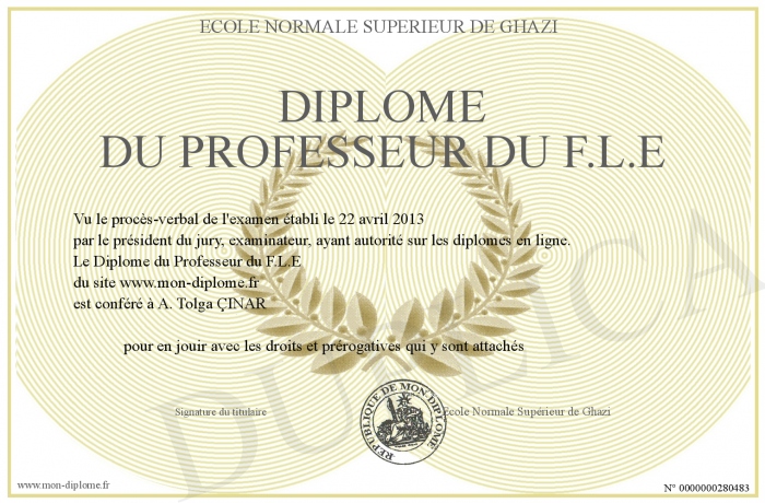 diplome fle